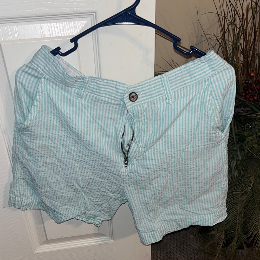 Hudson & Burrow Striped teal Shorts